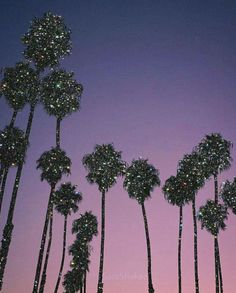 palm trees with lights on them against a purple sky