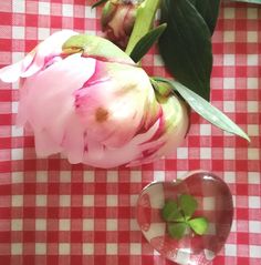 a pink flower sitting on top of a red and white checkered table cloth next to a heart shaped vase