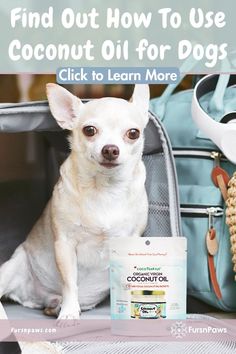 a dog sitting in an open suitcase with coconut oil on it and the words, find out how to use coconut oil for dogs click to learn more