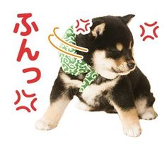 a small dog wearing a green and white bandana sitting on top of a floor