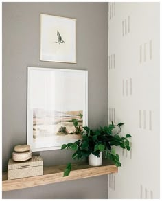 a shelf with a potted plant on top of it next to a framed photograph