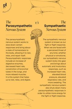 How To Activate Parasympathetic Nervous System, Activate Parasympathetic Nervous System, Parasympathetic Nervous System Activate, How To Get Out Of Survival Mode, How To Regulate Your Nervous System, Parasympathetic Vs Sympathetic, Breathwork Quotes, Regulate Nervous System, Sympathetic And Parasympathetic