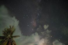 the night sky is filled with stars and clouds, while palm trees are silhouetted against it