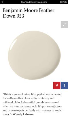 a white oval plate with the words, benjamin moore feather down 953