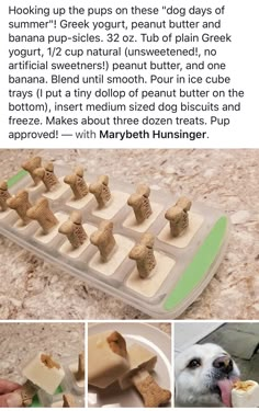 a dog is eating out of an ice tray with food in it and the caption reads,