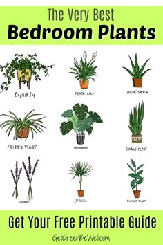 the very best bedroom plants to get your free printable guide