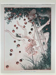 an illustration of a woman climbing up a ladder to reach apples on the tree branch