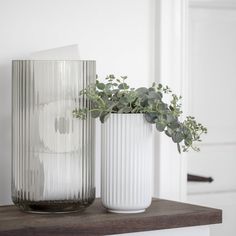 two white vases sitting on top of a wooden table next to each other with plants in them