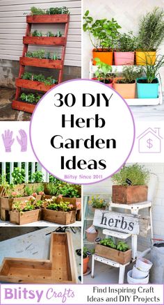 the words 30 diy herb garden ideas are shown above pictures of plants and herbs