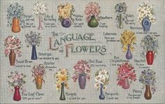 a cross stitch pattern with flowers in vases and the language of flowers on it