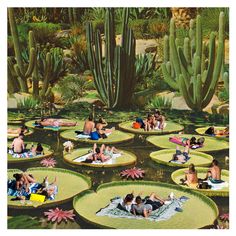 many people are floating on lily pads in the water surrounded by cacti and succulents