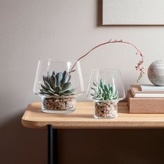 two glass vases with succulent plants in them sitting on a wooden table