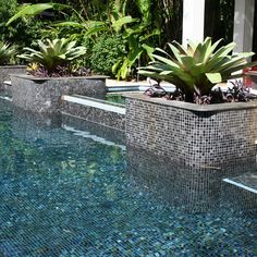 three planters with plants in them sitting on the edge of a swimming pool