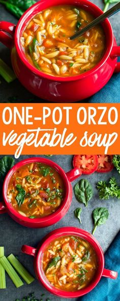 one pot orzo vegetable soup in red bowls