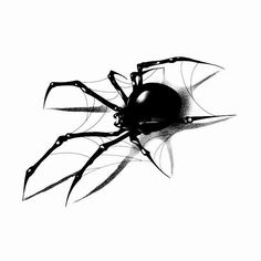 a black and white drawing of a spider