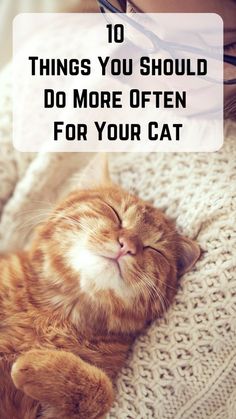 an orange cat sleeping on top of a woman's lap with the caption 10 things you should do more often for your cat