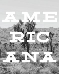 Top 12 Free “Americana” Fonts Americana Design Inspiration, Western Font Pairings, Modern Western Graphic Design, Americana Typography, Americana Graphic Design, Western Graphic Design, Western Branding, Western Typography