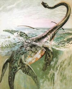 an illustration of a sea monster swimming in the ocean with its mouth open and tongue out