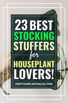 the words 23 best stocking stuff for houseplant lovers