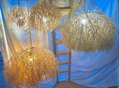 some lights hanging from the ceiling in a room with blue drapes and white curtains