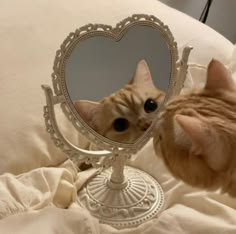 an orange cat looking at its own reflection in a heart shaped mirror on a bed