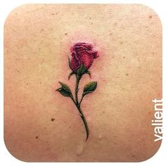 a rose tattoo on the back of a woman's shoulder