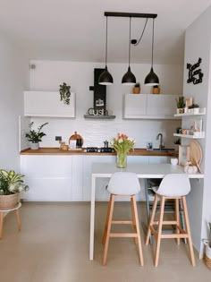 two stools sit in front of a kitchen counter with pots and plants on it