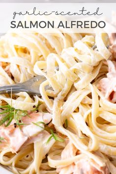 Salmon Alfredo Salmon Fettuccine Alfredo, Alfredo Salmon, Salmon Fettuccine, Salmon Alfredo, Lemon Parmesan Pasta, Cream Sauce Pasta, Keto Salmon, White Sauce Pasta