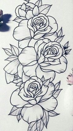 a pencil drawing of roses on paper