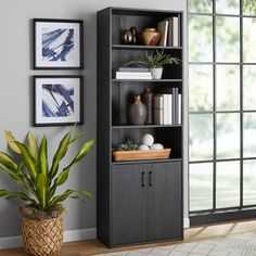 a living room with a potted plant next to a bookcase and pictures on the wall