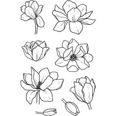 four different types of flowers drawn in black and white on a white background, each with one single flower