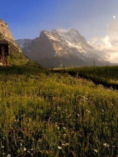 a small cabin in the middle of a grassy field with mountains in the back ground