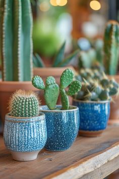 three potted cactus plants sitting on top of a wooden table next to each other