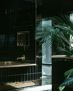 a bath tub sitting next to a palm tree in a room with black tiles on the walls