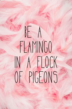 pink feathers with the words be a flamingo in a flock of pigeons