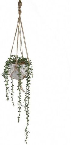 a hanging planter filled with lots of green plants