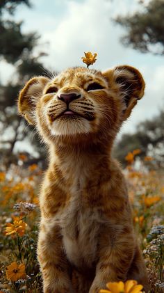 a young lion cub sitting in the middle of a field with daisies on its head