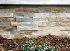 a stone wall with the words foundation refacing above it and an image of some plants growing in front of it