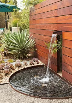 a water fountain in the middle of a garden with succulents around it