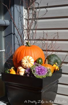 pumpkins and gourds sit in a black container on the front porch outside