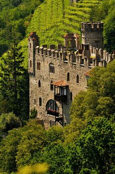 an old castle built into the side of a hill surrounded by trees and greenery