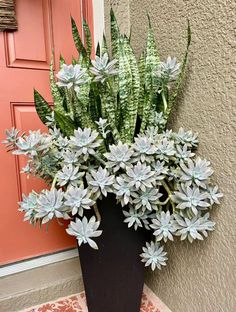 a black vase filled with white flowers next to a pink door