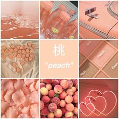 peaches are arranged in different pictures with the words peach written on them and an image of