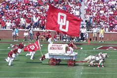 a group of people on a field with horses pulling a wagon full of food and flags