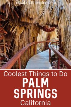 the walkway to palm springs in california with text overlay that reads coolest things to do