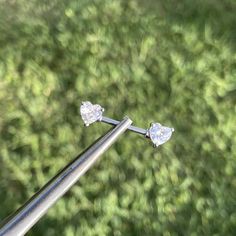 two diamond studs are attached to the end of a metal pole with grass in the background