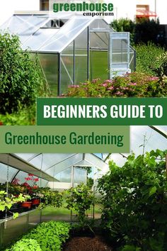 the beginner's guide to greenhouse gardening