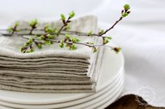 a stack of napkins sitting on top of a white plate next to a twig