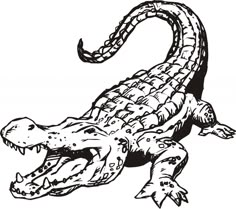 an alligator is shown in black and white