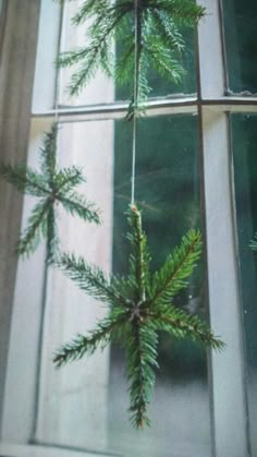 a pine tree is hanging in front of a window